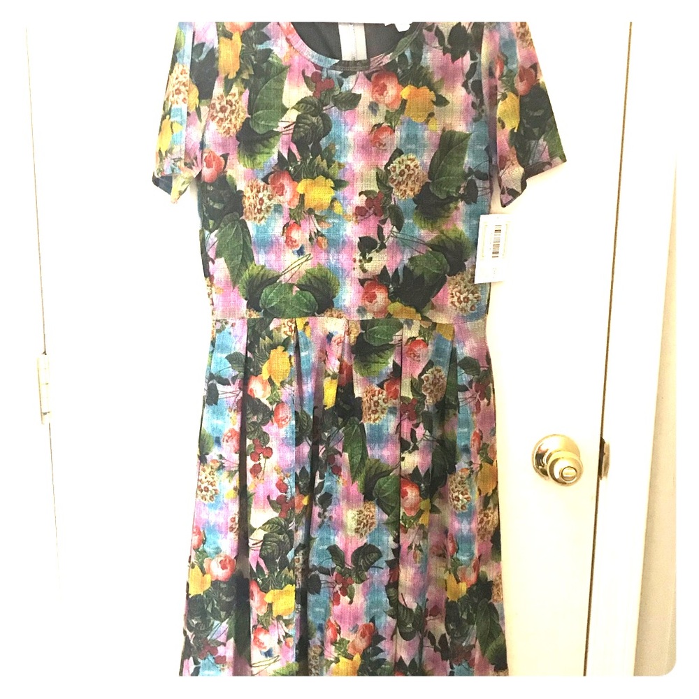 XL Lularoe Amelia dress